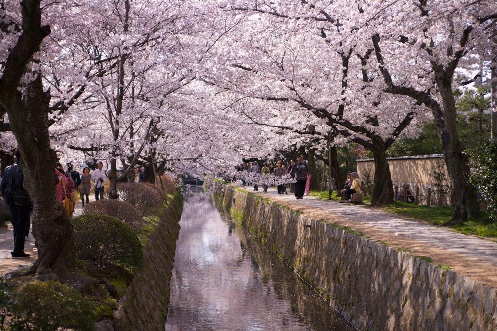 Best Countries to Visit in Every Season